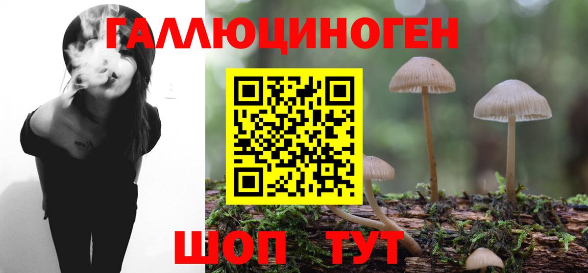 Лесосибирск  Псилоцибиновые грибы мицелий  Вход с VPN 